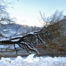 016_bearbeitet-1.jpg