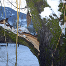 020_bearbeitet-1.jpg