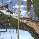 024_bearbeitet-2.jpg