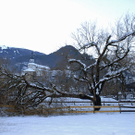 028_bearbeitet-1.jpg