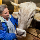 Bilder vom Gnadenhof in Doren