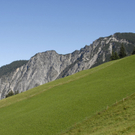 _DSC06400019.JPG
