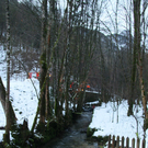 IMG_5266_Kopie.jpg