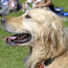 _DSC08770081.JPG