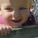 _DSC08860084.JPG