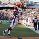 DAB0980-20111224.jpg