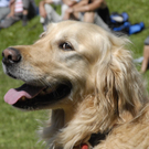 _DSC08780082.JPG