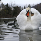 normal_26122011fmt_eisleopoldskron_ta_005.JPG