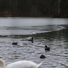 normal_26122011fmt_eisleopoldskron_ta_007.JPG