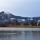 normal_26122011fmt_eisleopoldskron_ta_010.JPG