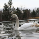 normal_26122011fmt_eisleopoldskron_ta_014.JPG