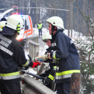 26122011vualpendorfmbaktivnews021.JPG
