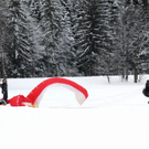 Bilder der Winterflüge