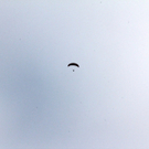 261211paragleitergmaktivnews20.JPG