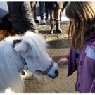 DSC04505.JPG