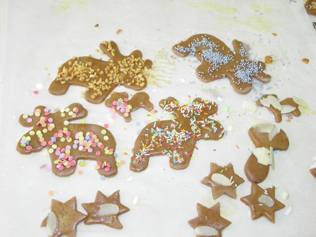 113_5102_JPG-1324941237