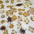 113_5101_JPG-1324941228