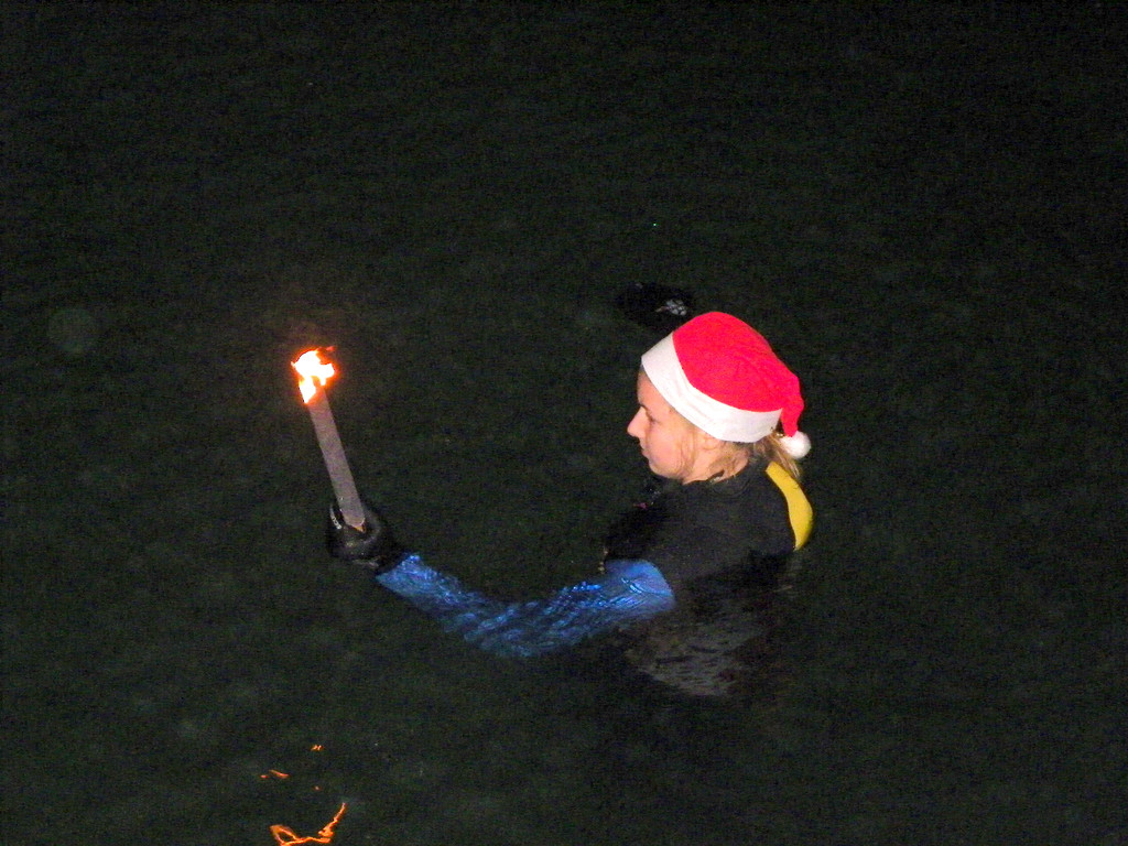 113_5423_JPG-1324942119