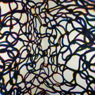 113_5339_JPG-1324942417