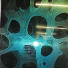 113_5340_JPG-1324942426