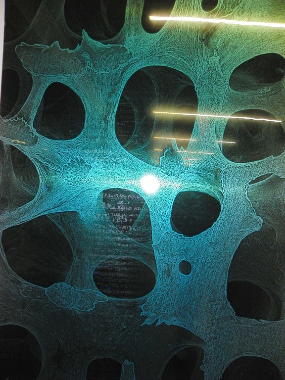 113_5340_JPG-1324942426