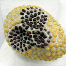 113_5355_JPG-1324942473