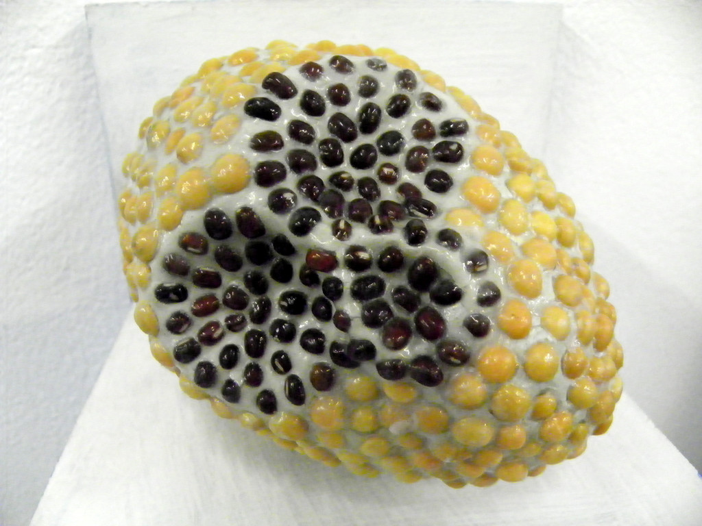 113_5355_JPG-1324942473