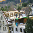 113_4919_JPG-1324943595