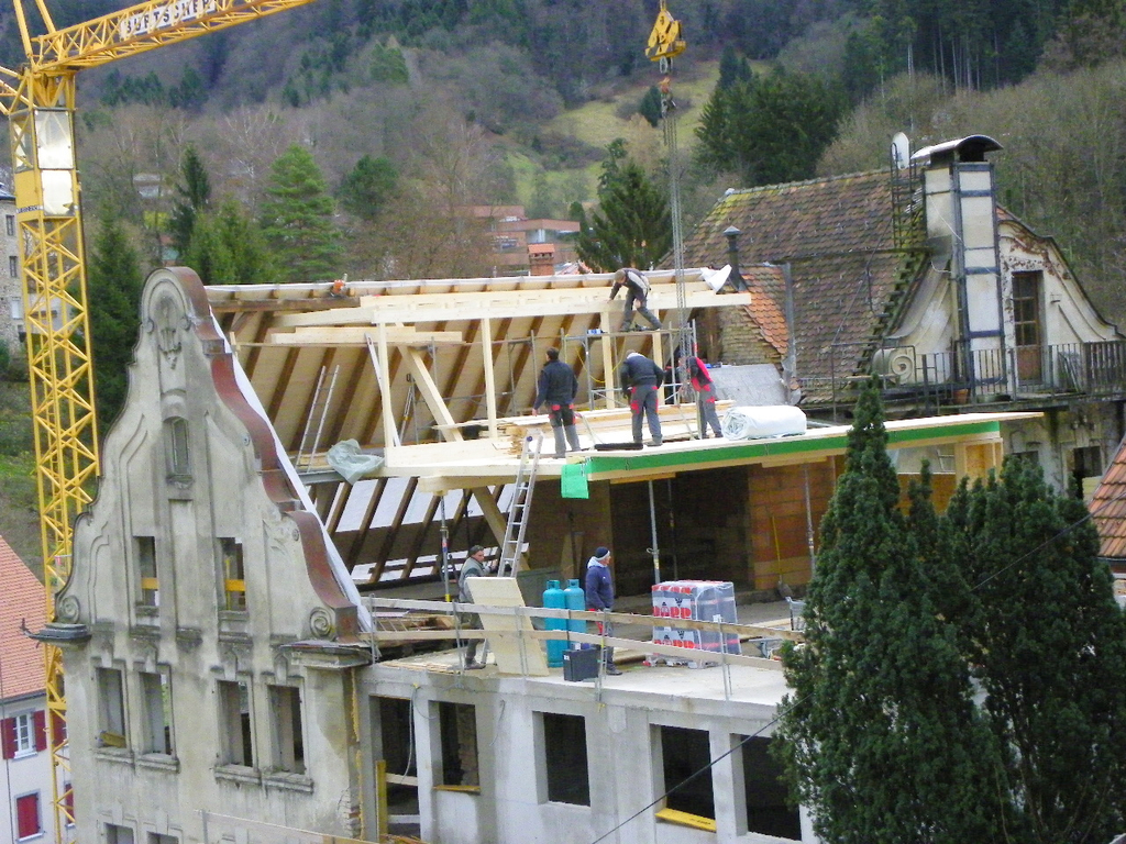 113_4919_JPG-1324943595