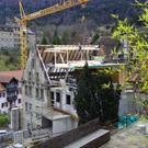 113_4913_JPG-1324943557