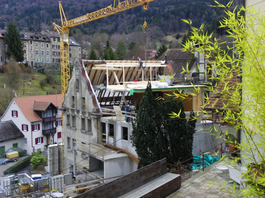 113_4913_JPG-1324943557