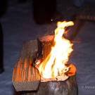 Waldweihnacht-016.jpg
