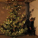 christbaumkugelschie__en_jpg-1325021911