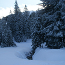 DSC03236.JPG