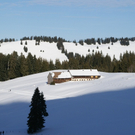 DSC03237.JPG