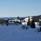 DSC03238.JPG