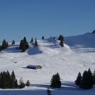 DSC03239.JPG