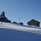 DSC03241.JPG