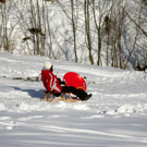 BK_Gurtis Winter 7_jpg-1325077105
