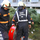 normal_28122011fmt_branditzling_ta_006.JPG