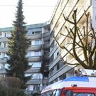 normal_28122011fmt_branditzling_ta_015.JPG