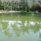 dc1-5g3395i5t7q1a1c981xb_original.jpg