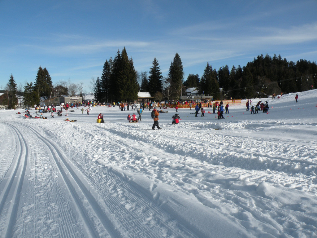 DSCN2220.JPG
