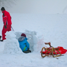 BK_rodelh__gel_nofels 1_jpg-1325107526