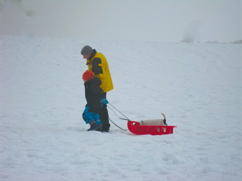 BK_rodelh__gel_nofels 12_jpg-1325107574