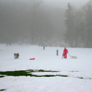 BK_rodelh__gel_nofels 18_jpg-1325107598