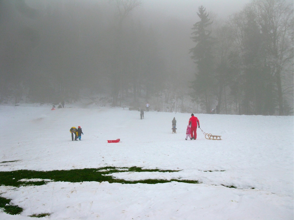 BK_rodelh__gel_nofels 18_jpg-1325107598