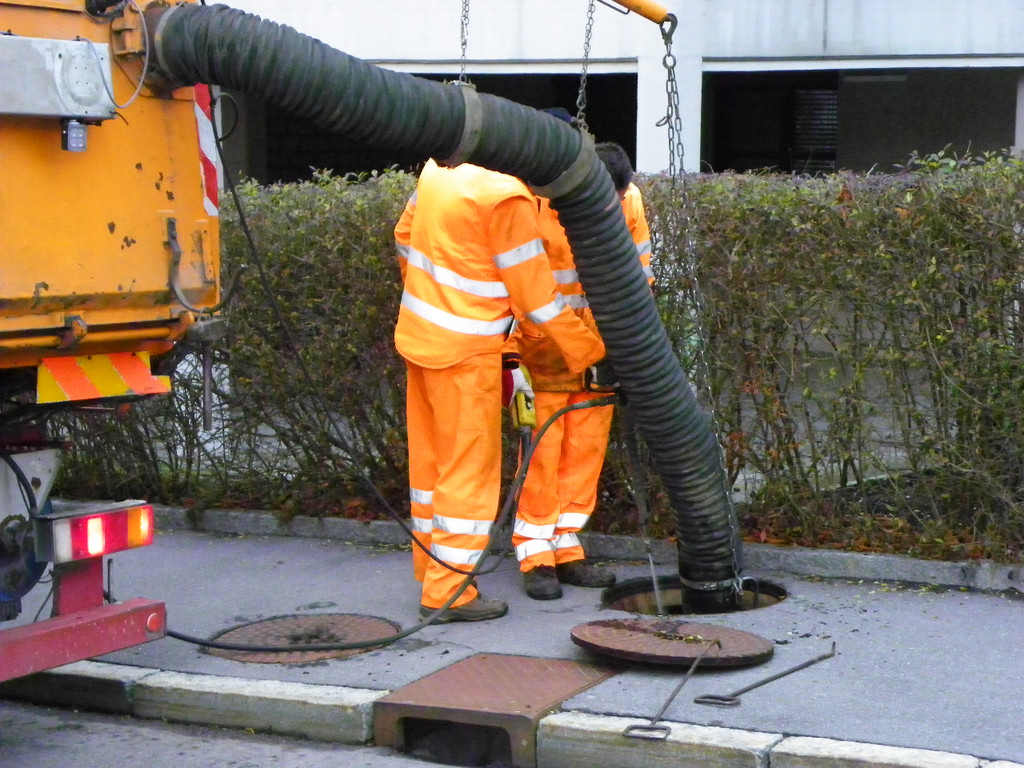 113_4933_JPG-1325118631