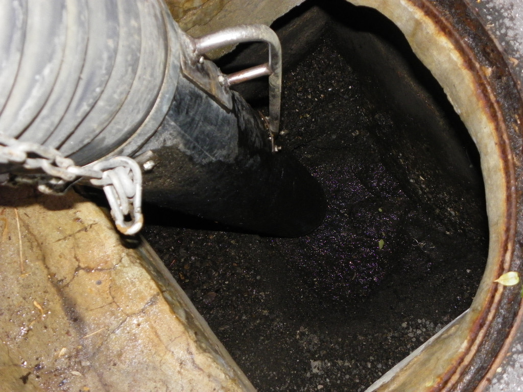 113_4934_JPG-1325118642