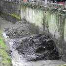 113_4892_JPG-1325120941